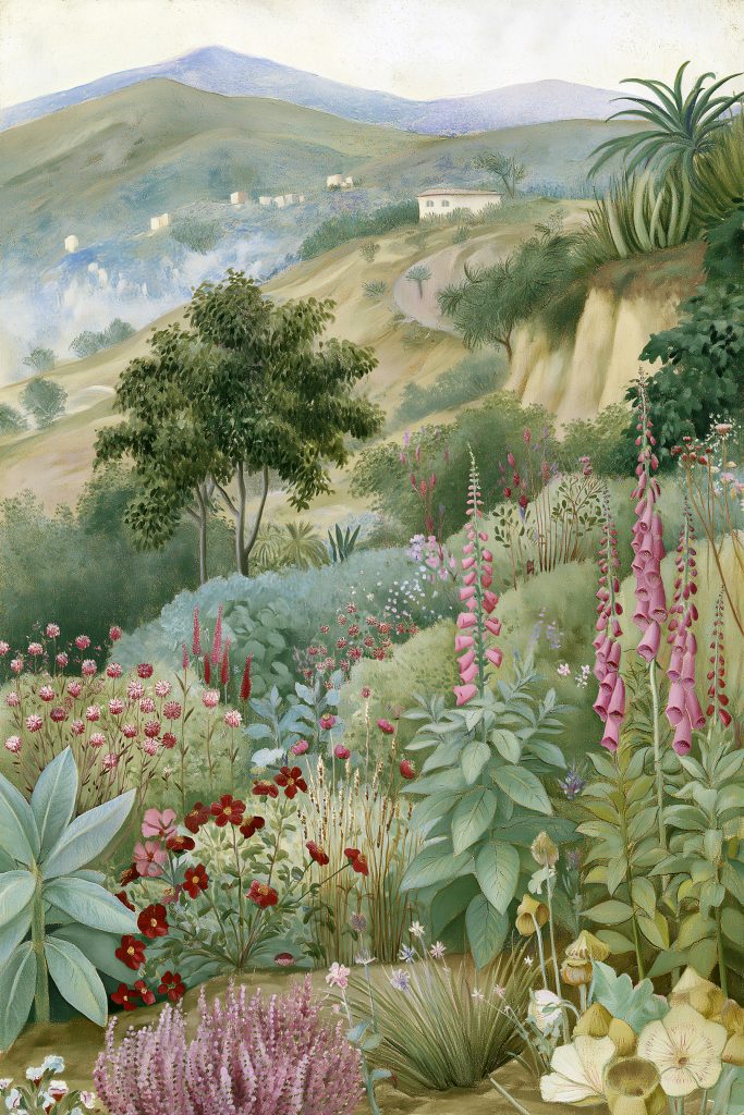 Green Valley No. 02