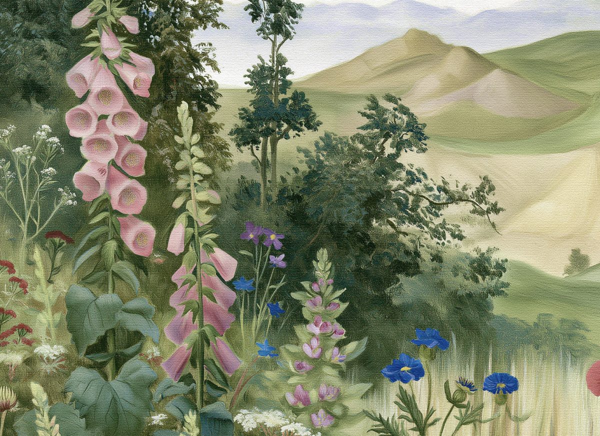 gw_07_vr_closeup_mu Green Valley No. 07